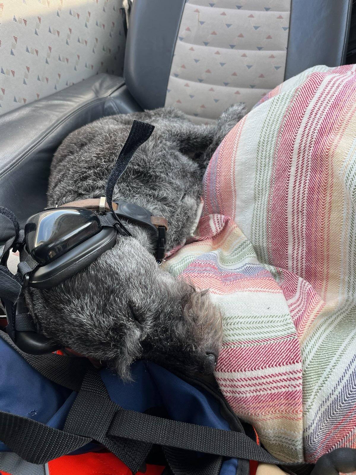 Furr sleeping on plane